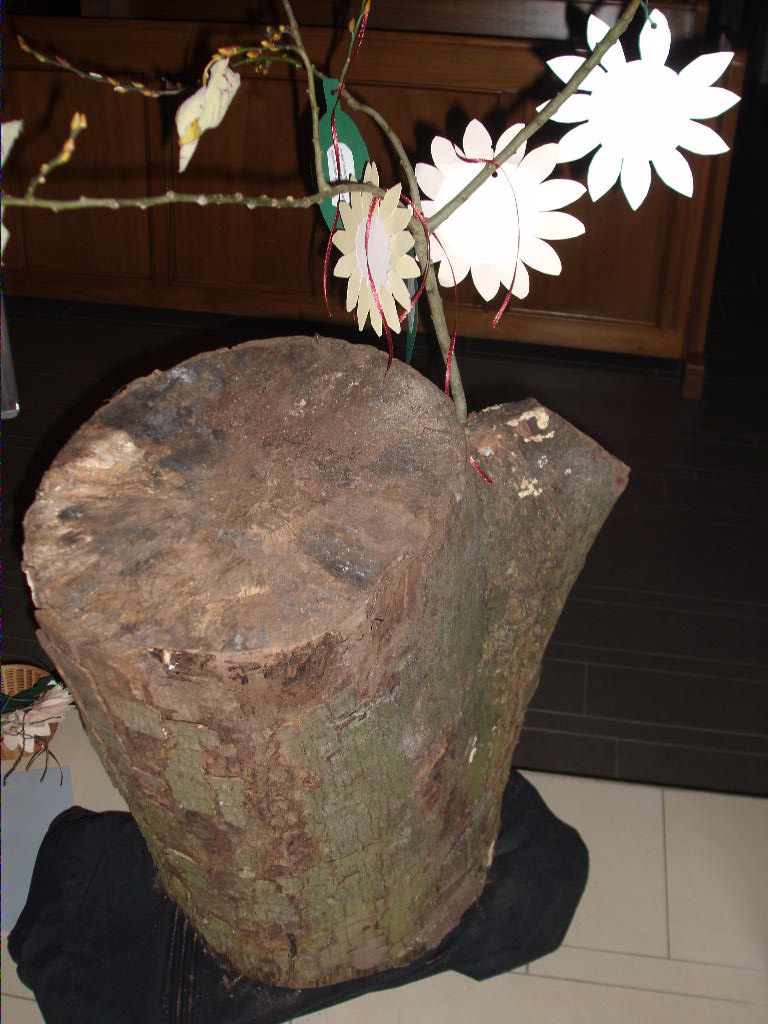 Borro Baum 768x1024