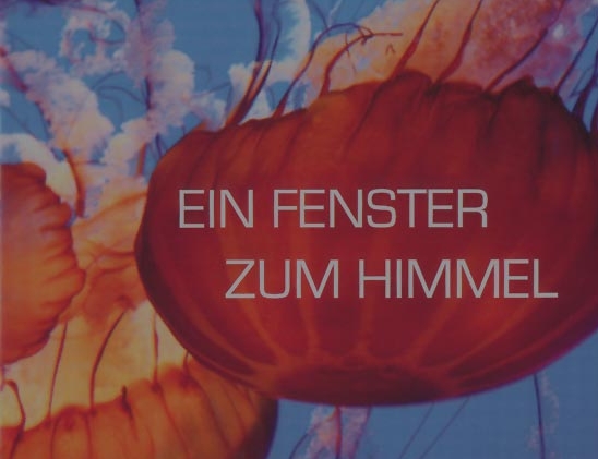 ein fenster zum himmel