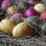 Osterfrühstück und Eiersuche in Oldersum