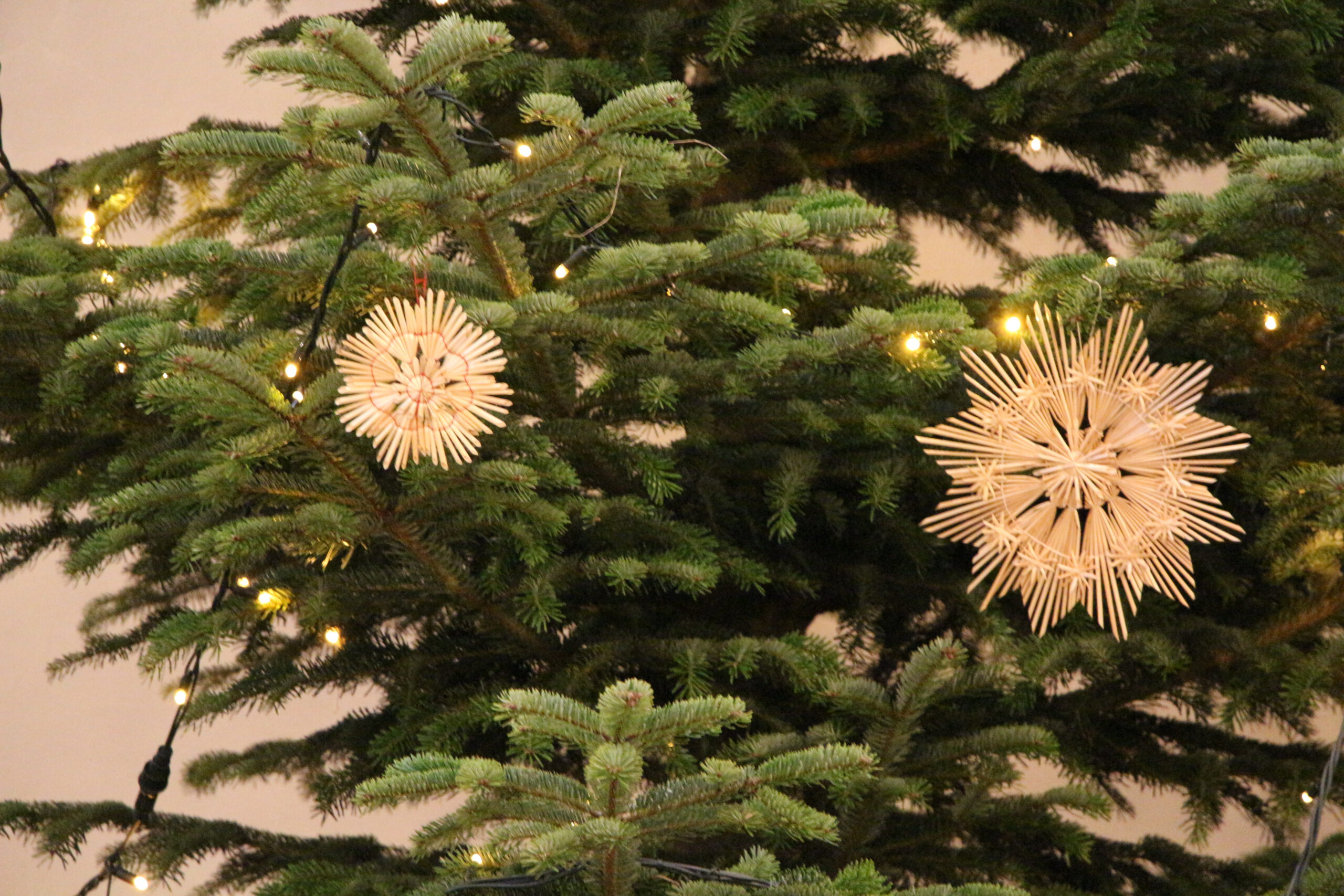 Hl. Messe (2. Weihnachtstag)