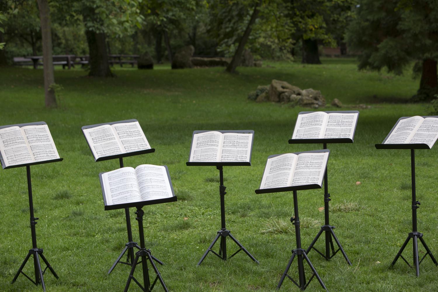 Kleiner Singworkshop - offenes Singen